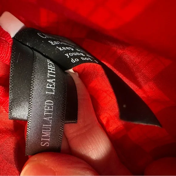 Loungefly Disney Mulan Mushu Fanny Pack - Picture 14 of 15